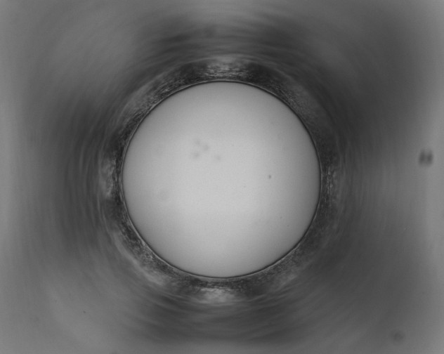 X0000111500741200907281250