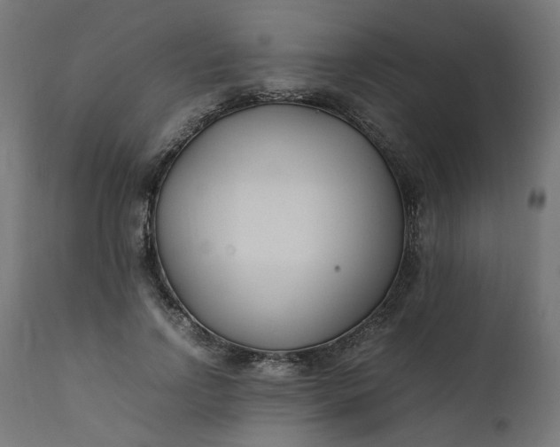 X0000111500742200907281250