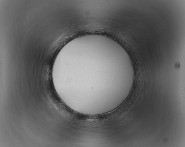 X0000111500744200907281250