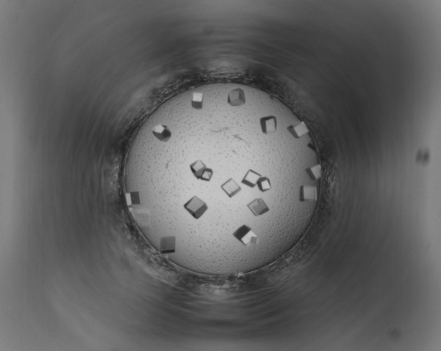 X0000111500745200907281250