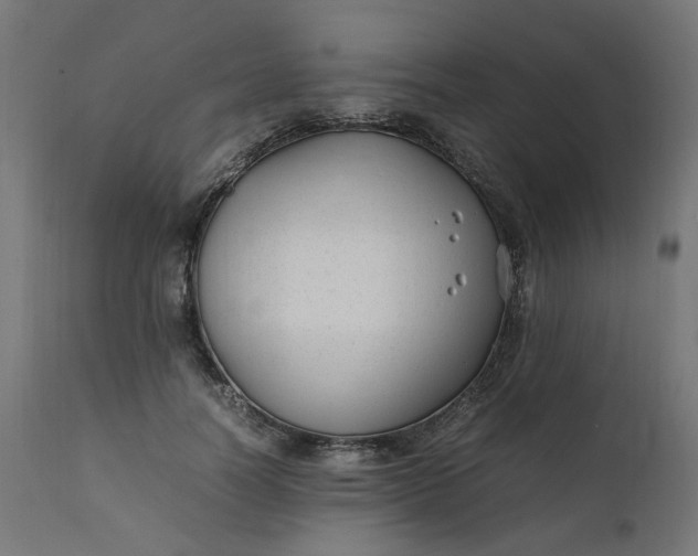 X0000111500746200907281250