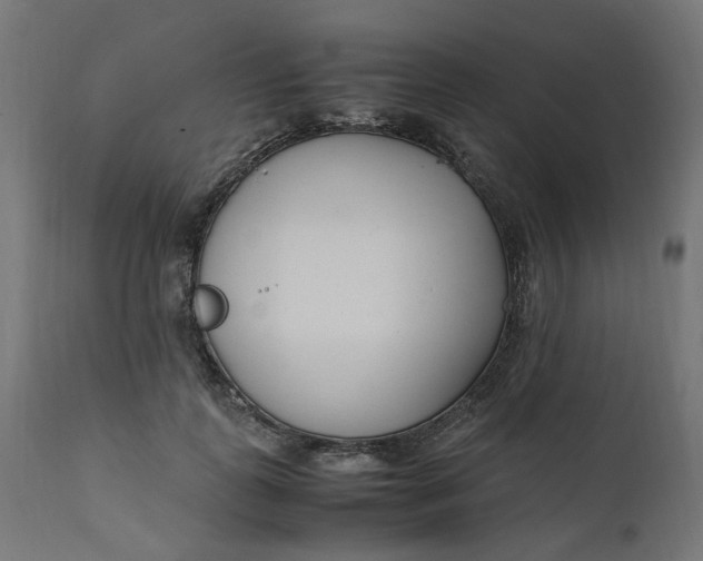 X0000111500747200907281250