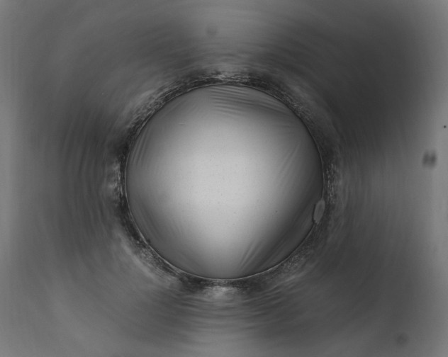 X0000111500748200907281250