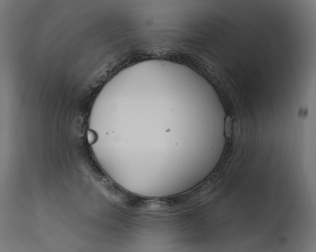 X0000111500750200907281250