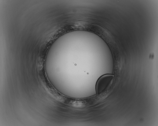 X0000111500751200907281250