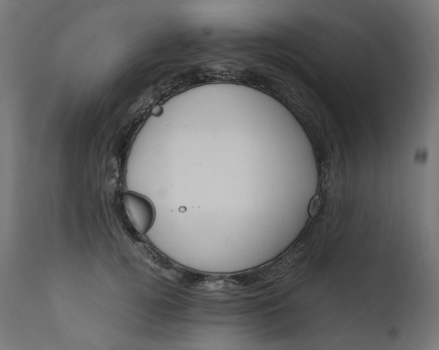 X0000111500752200907281250