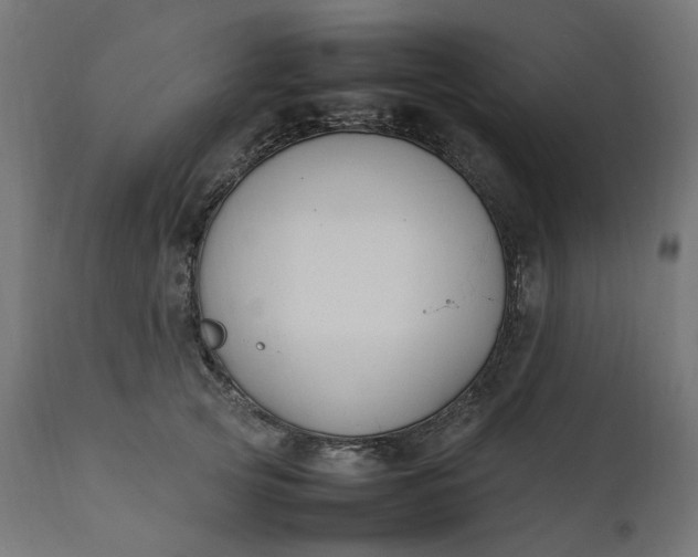 X0000111500753200907281250