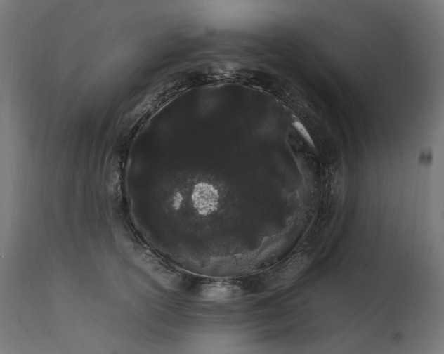 X0000111500754200907281250