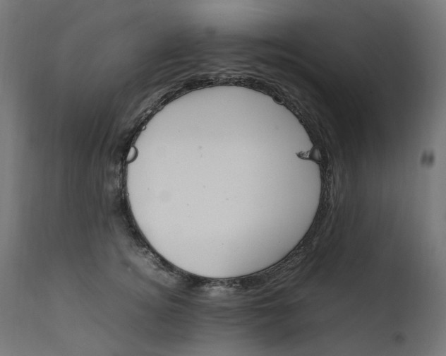 X0000111500756200907281250