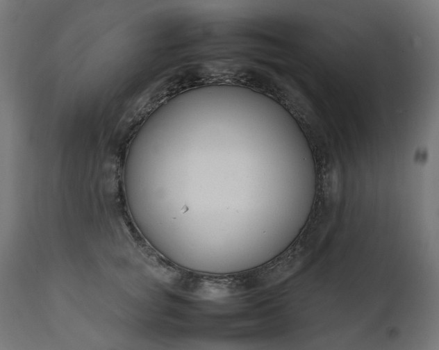 X0000111500757200907281250