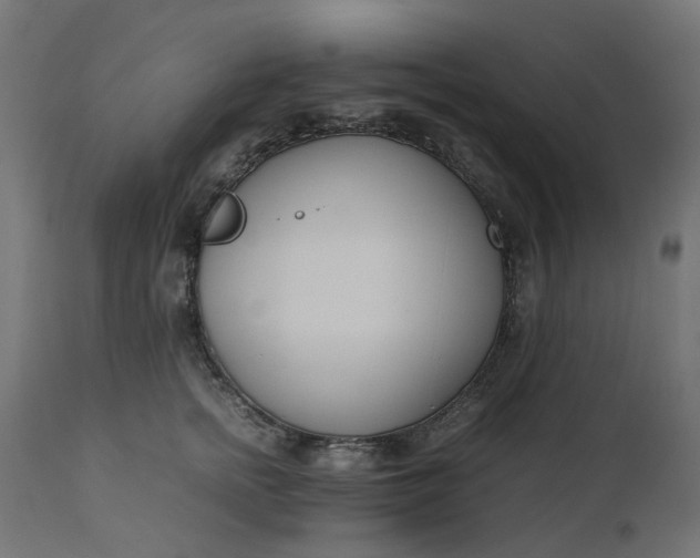 X0000111500758200907281250