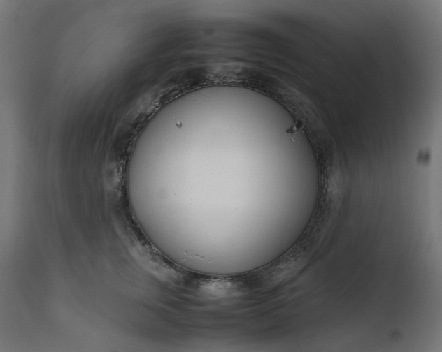 X0000111500759200907281251