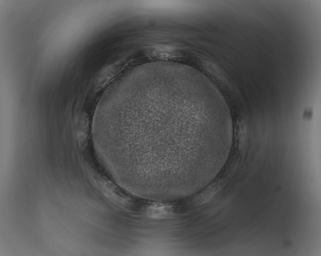 X0000111500760200907281251