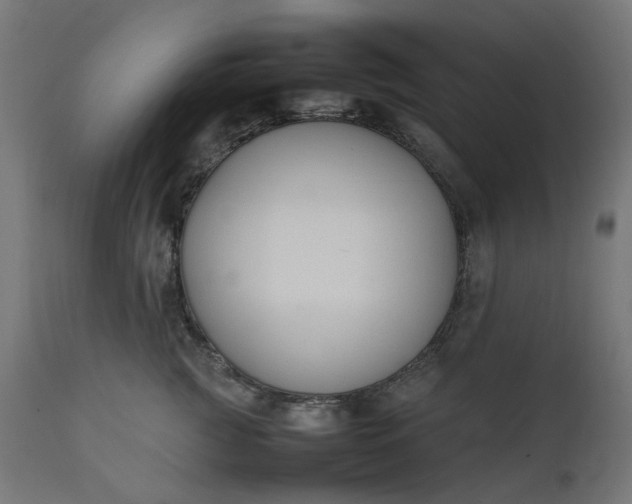 X0000111500761200907281251