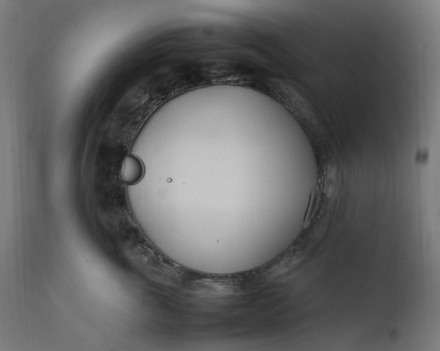 X0000111500763200907281251