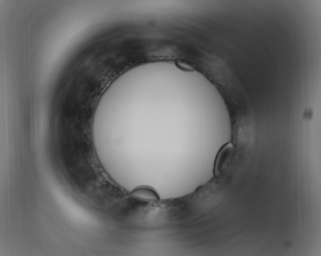 X0000111500764200907281251