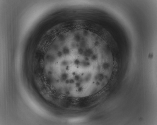 X0000111500765200907281251