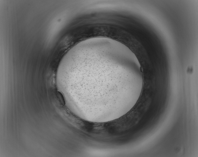 X0000111500766200907281251