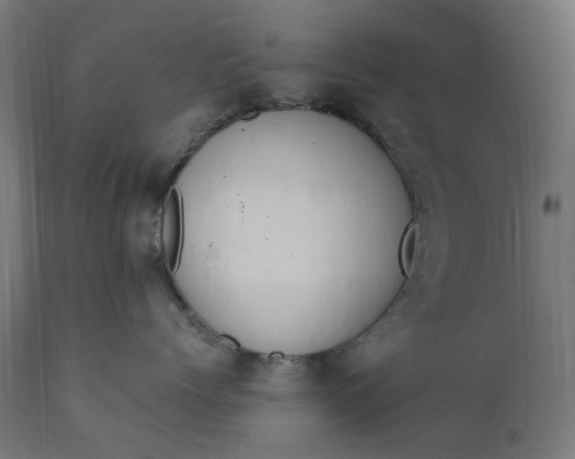 X0000111500768200907281251