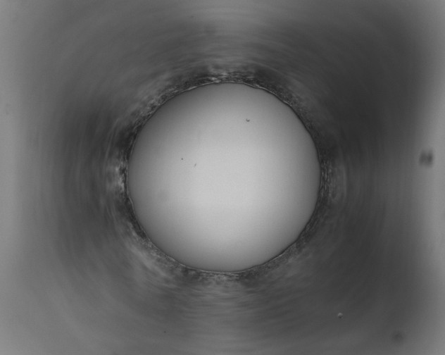 X0000111500770200907281250