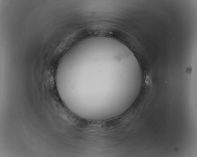 X0000111500771200907281250