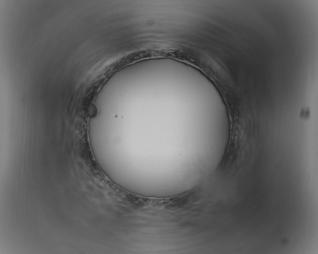 X0000111500773200907281250