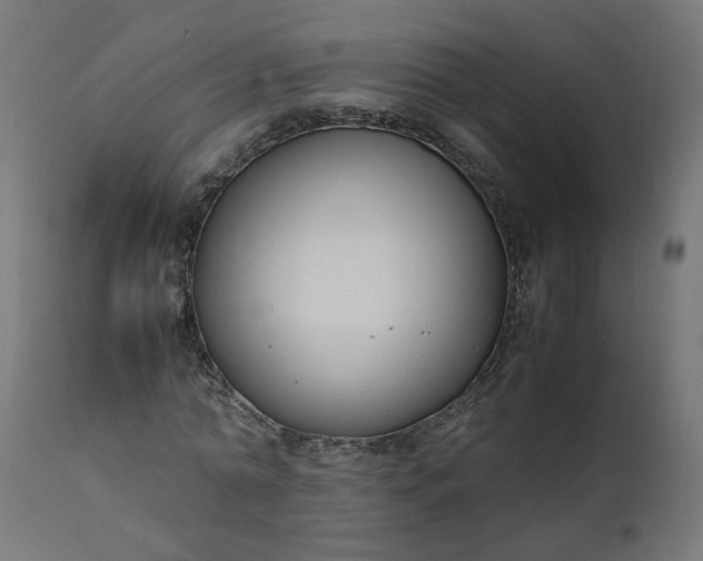 X0000111500774200907281250