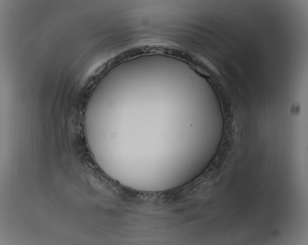 X0000111500775200907281250