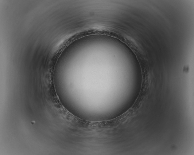 X0000111500776200907281250