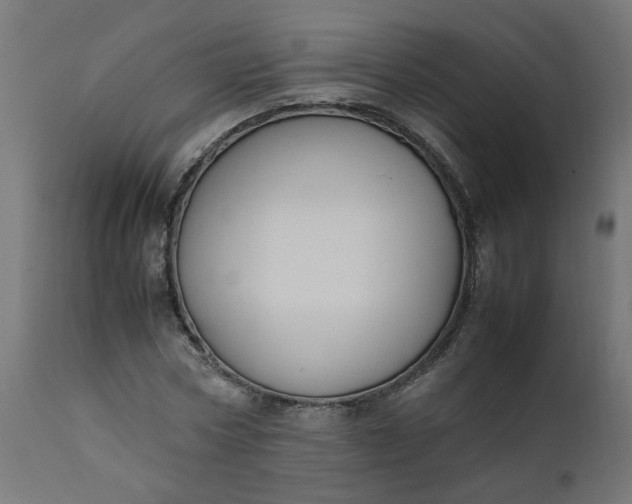 X0000111500778200907281250