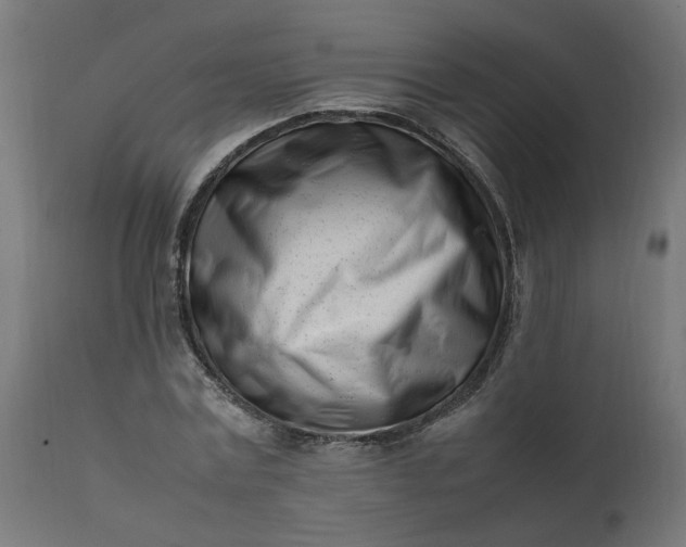 X0000111500779200907281250