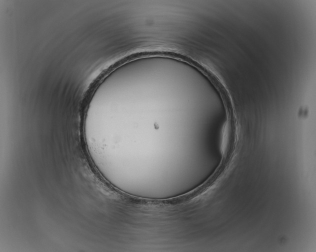 X0000111500781200907281250