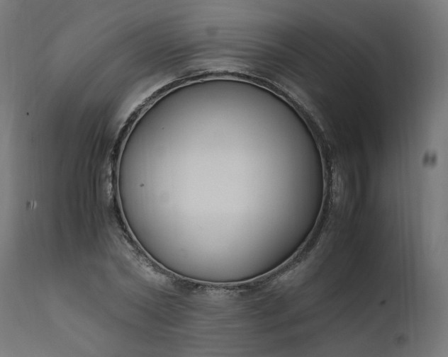 X0000111500782200907281250