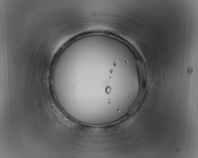 X0000111500783200907281250