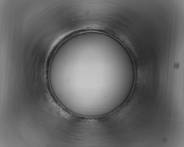 X0000111500784200907281250