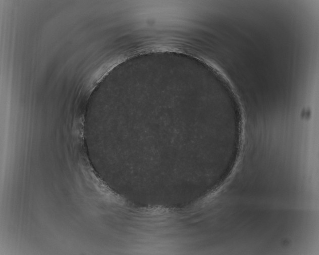 X0000111500785200907281250