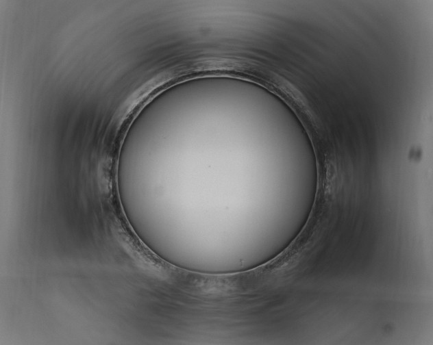 X0000111500786200907281250