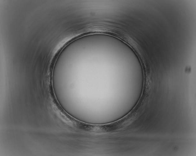 X0000111500787200907281250