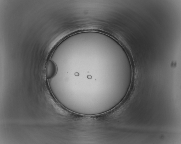 X0000111500789200907281250