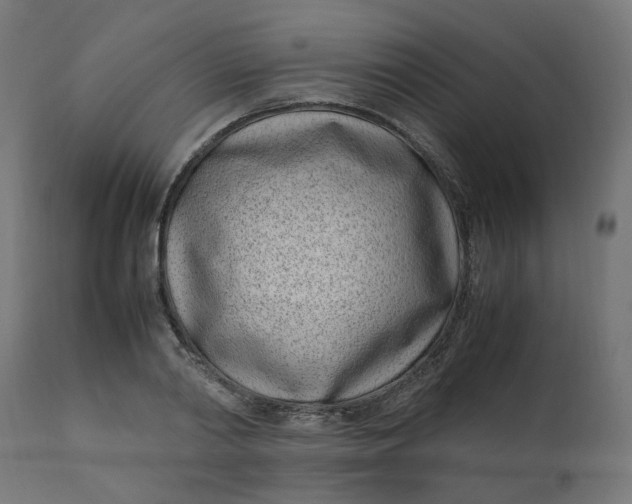 X0000111500790200907281250