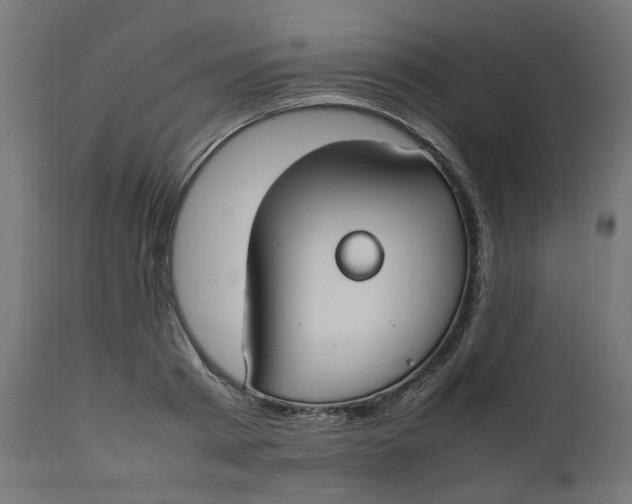 X0000111500793200907281250