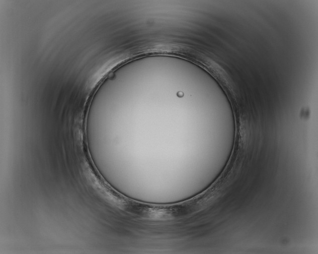 X0000111500794200907281250