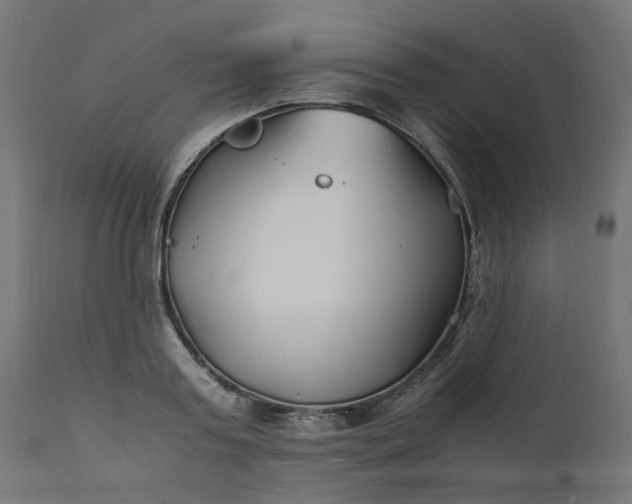 X0000111500795200907281250