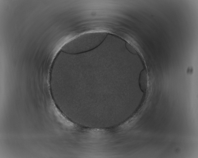 X0000111500797200907281250