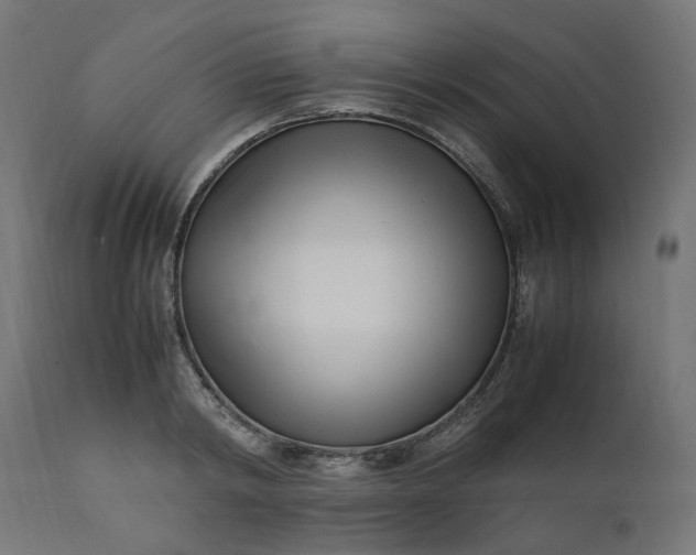 X0000111500798200907281250