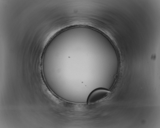 X0000111500799200907281250