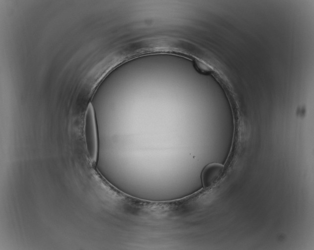 X0000111500801200907281250