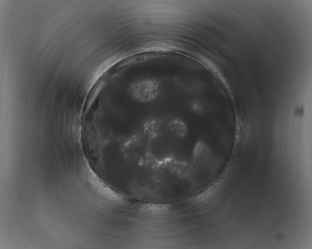 X0000111500802200907281250