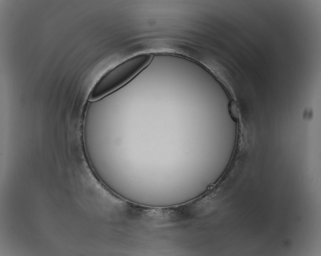 X0000111500805200907281249