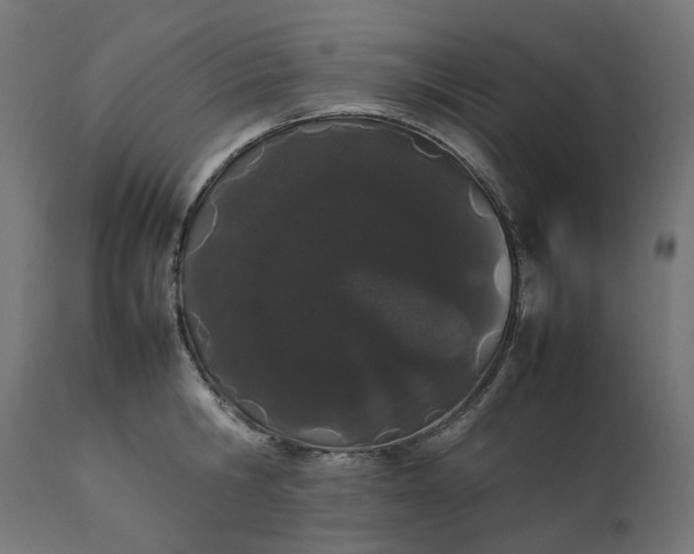 X0000111500806200907281249